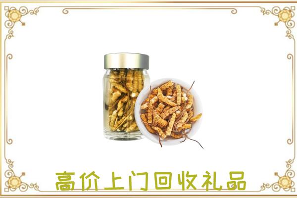 大同市周边回收虫草
